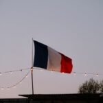 A História e Evolução da Língua Francesa